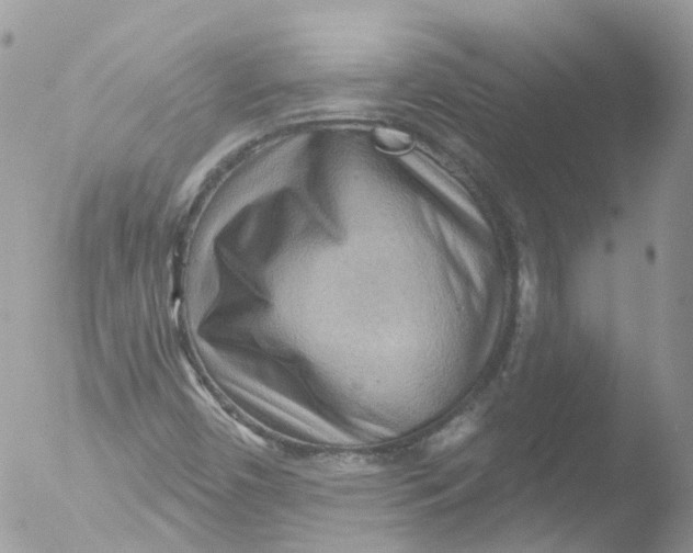 X0000051861450200507151808