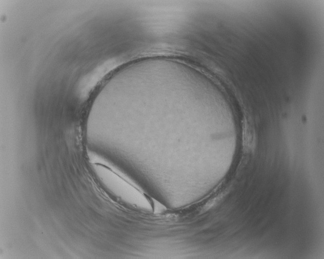 X0000051861453200507151808