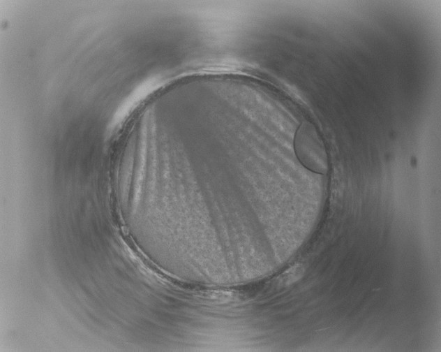 X0000051861456200507151808