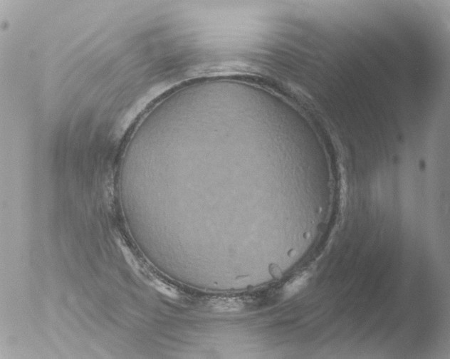 X0000051861457200507151808