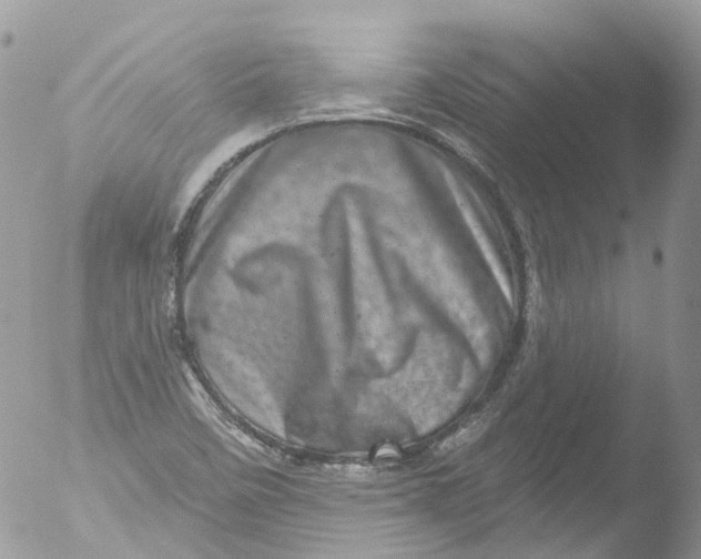 X0000051861458200507151808