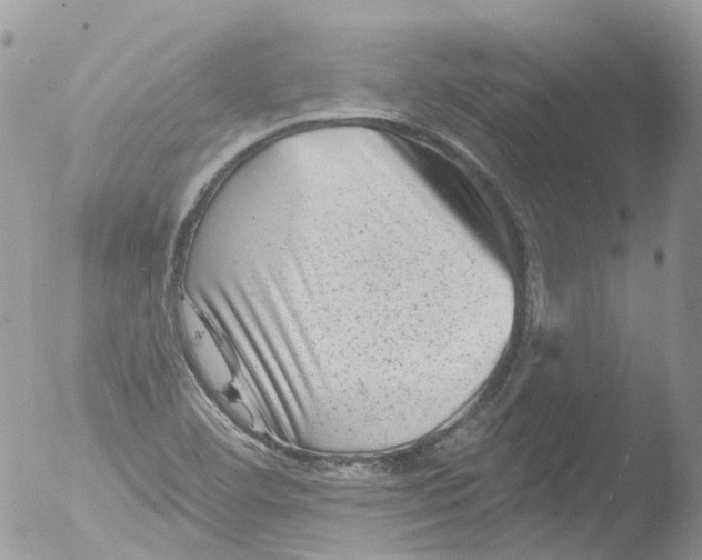 X0000051861460200507151808