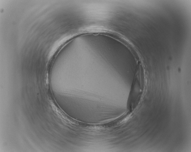 X0000051861461200507151808