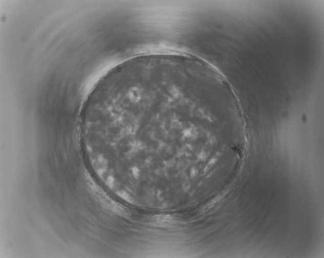 X0000051861463200507151808