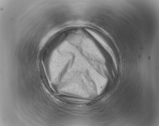 X0000051861464200507151808