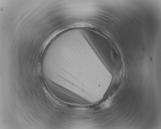 X0000051861465200507151808