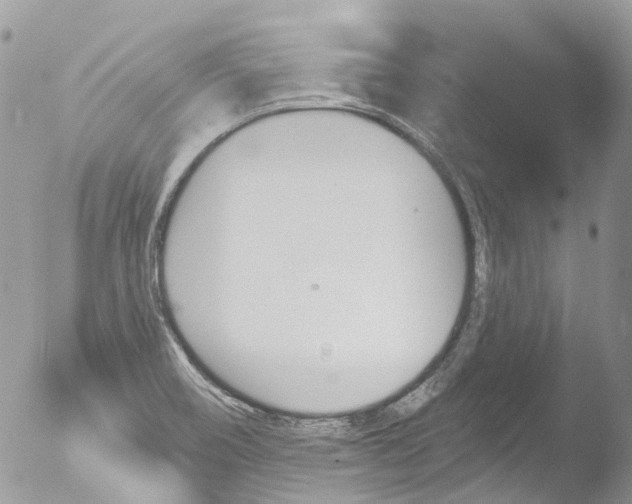 X0000051861466200507151807