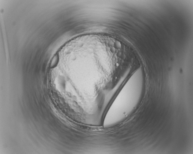 X0000051861467200507151807