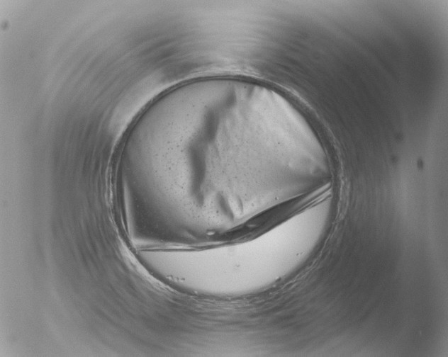 X0000051861468200507151807