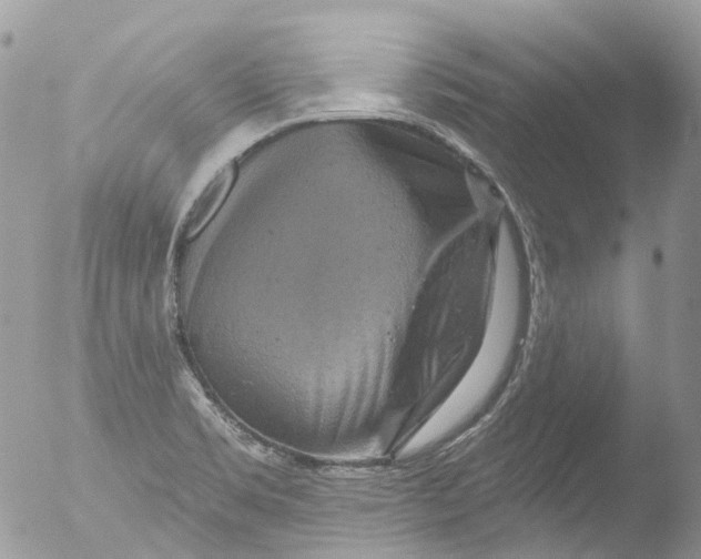 X0000051861469200507151807