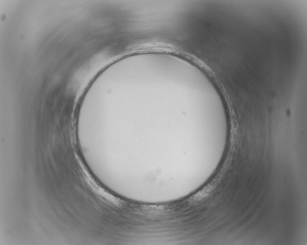 X0000051861470200507151807