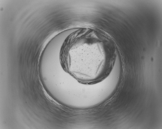 X0000051861471200507151807