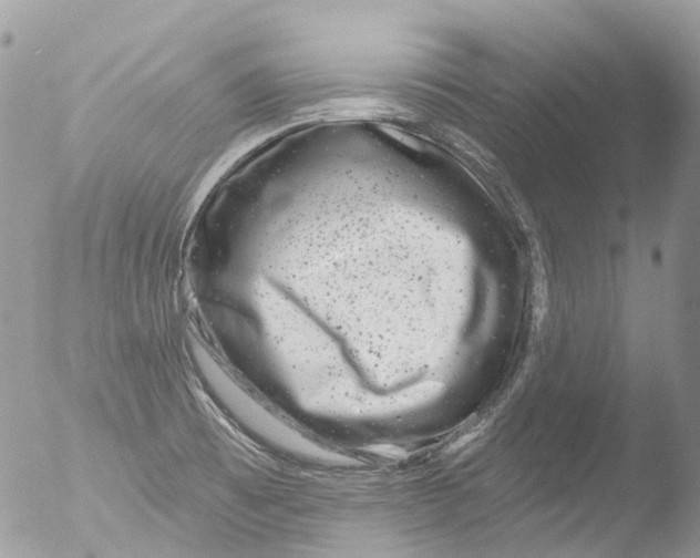 X0000051861473200507151807