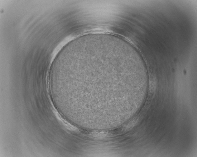 X0000051861474200507151807