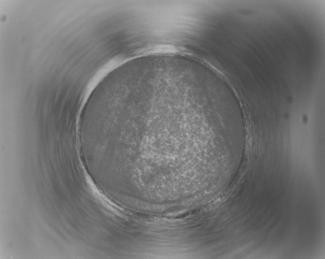 X0000051861475200507151807