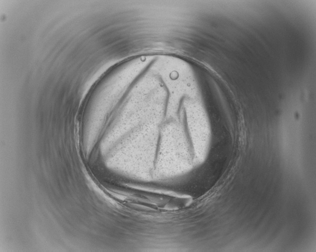 X0000051861476200507151807