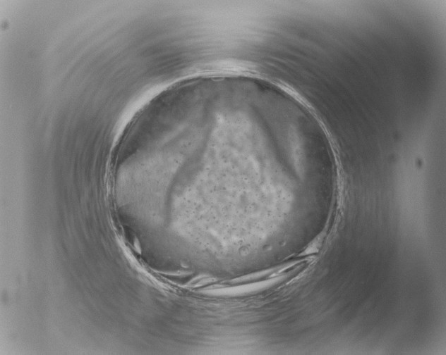 X0000051861477200507151807