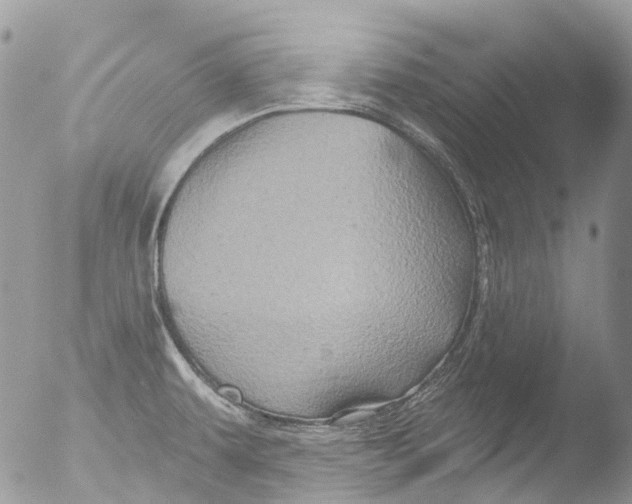 X0000051861479200507151807