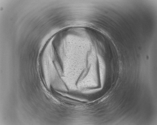 X0000051861480200507151807