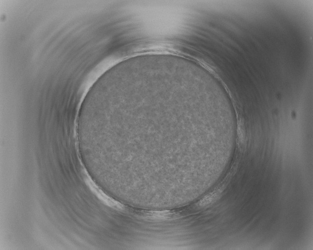 X0000051861482200507151807