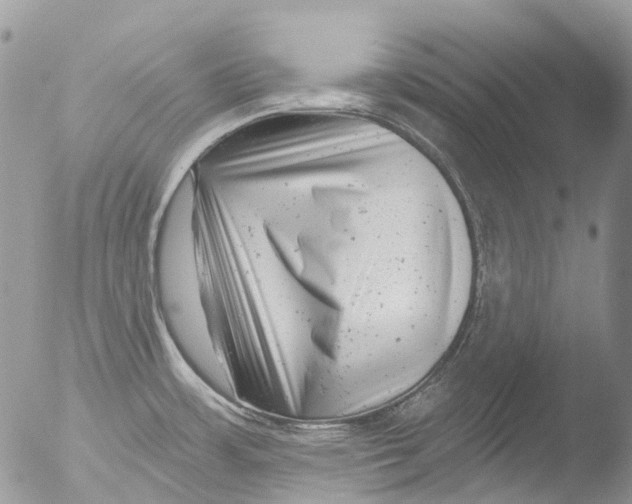 X0000051861483200507151807