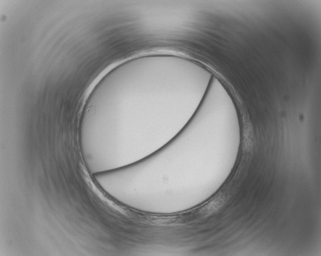 X0000051861484200507151807