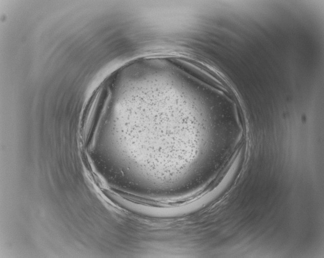 X0000051861485200507151807