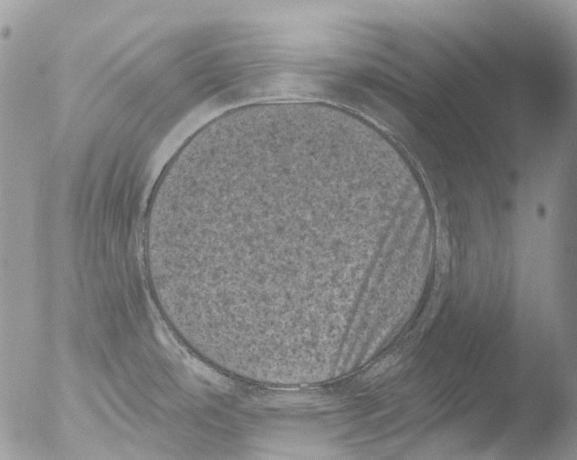 X0000051861486200507151807