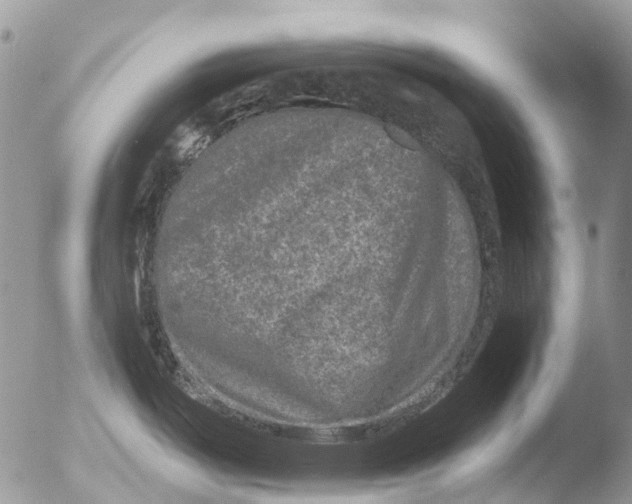 X0000051861487200507151807