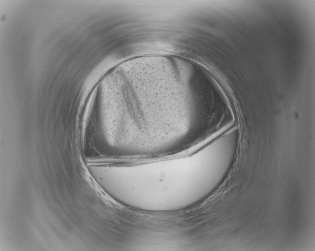 X0000051861488200507151807