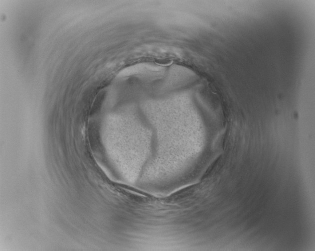 X0000051861489200507151806