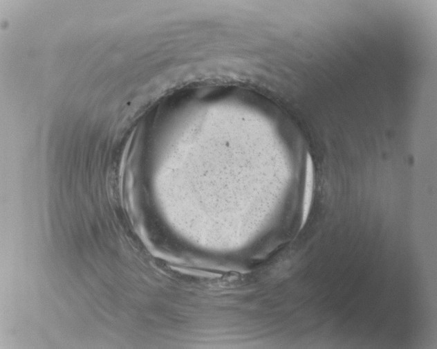 X0000051861490200507151806