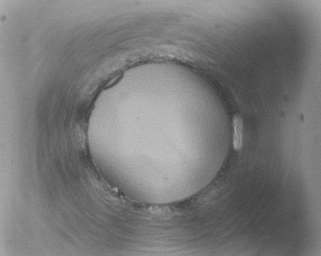 X0000051861491200507151806