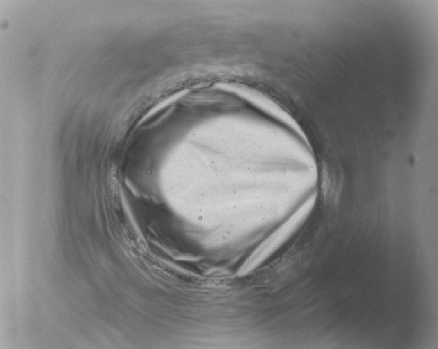 X0000051861492200507151806