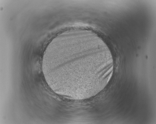 X0000051861493200507151806