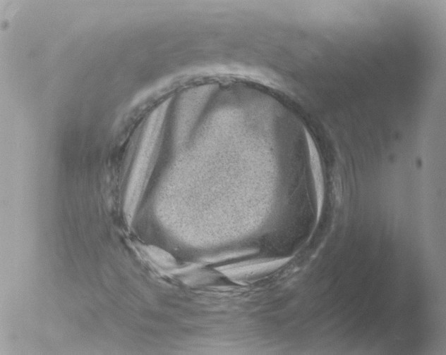 X0000051861494200507151806