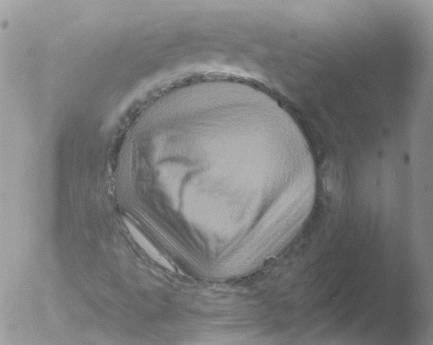 X0000051861495200507151806