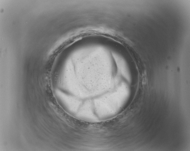 X0000051861496200507151806