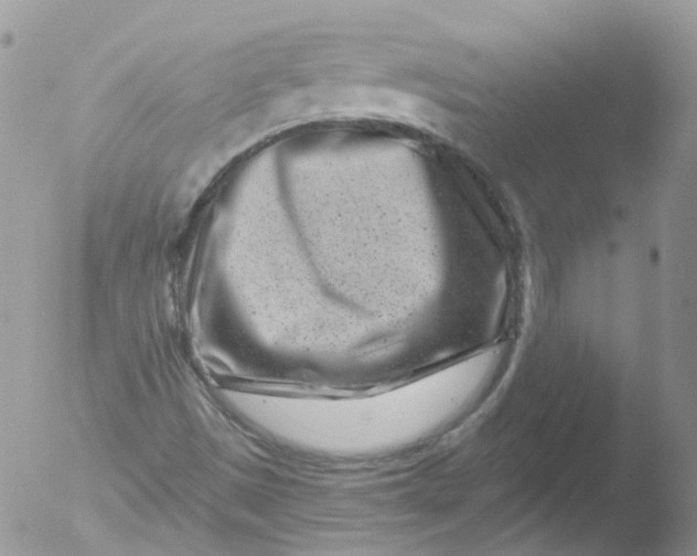 X0000051861497200507151806