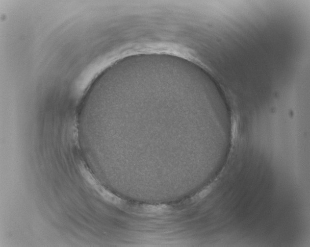 X0000051861498200507151806