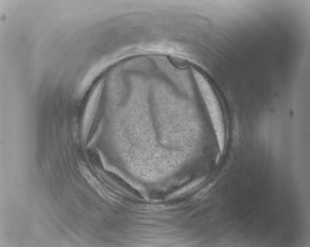 X0000051861499200507151806