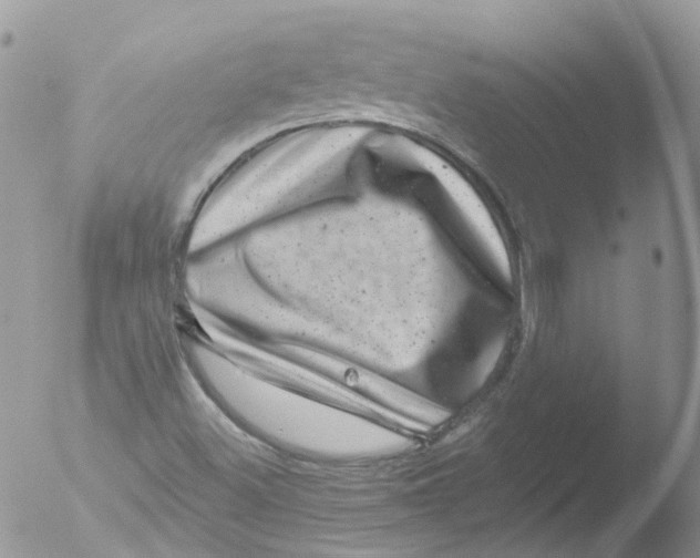 X0000051861500200507151807