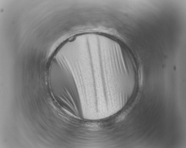 X0000051861501200507151807