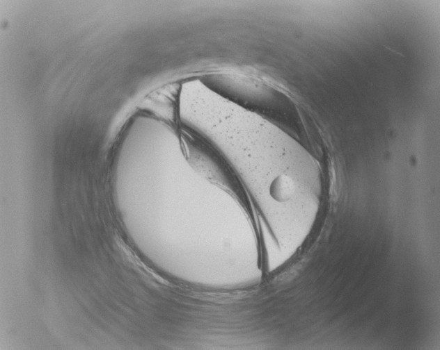 X0000051861502200507151807