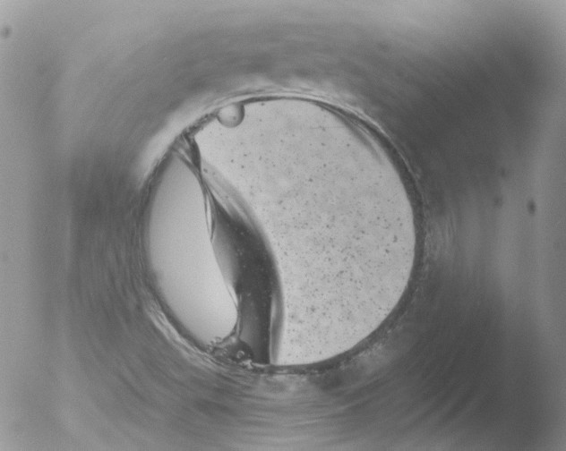 X0000051861503200507151807