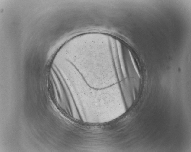 X0000051861504200507151807