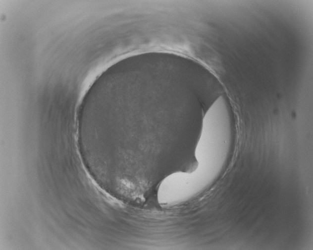 X0000051861508200507151807