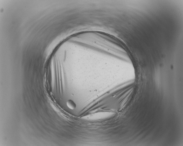 X0000051861511200507151807