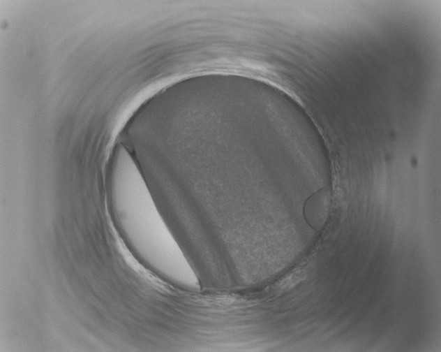 X0000051861515200507151807