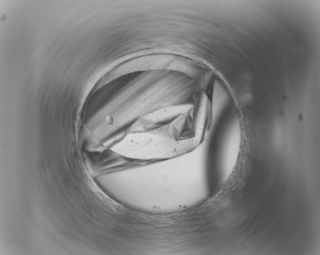 X0000051861516200507151807